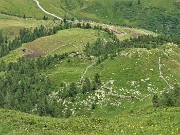 53 Dalla cresta di vetta di cima Mincucco vista verso pascoli e casere con 'barek' da dove son salito 